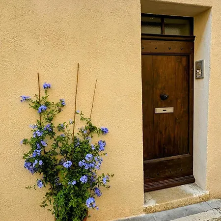 Boho Nest - Charming Boutique 公寓 昂蒂布