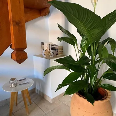 Boho Nest - Charming Boutique