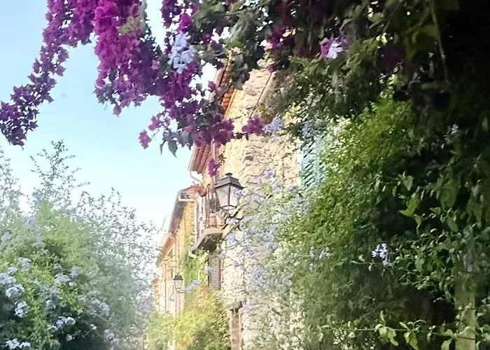 Boho Nest - Charming Boutique * Antibes