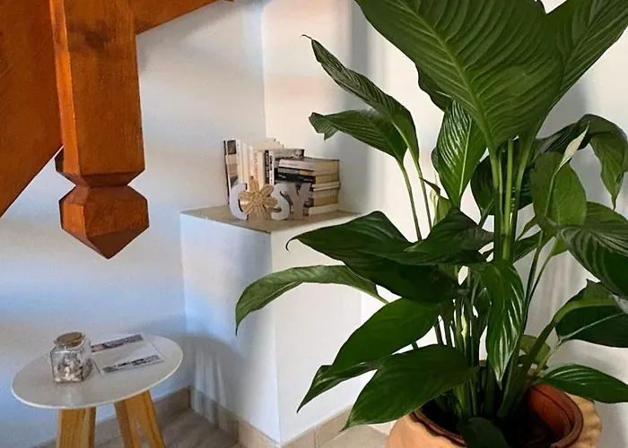 Boho Nest - Charming Boutique